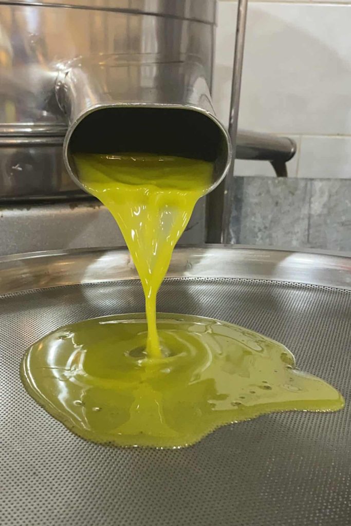 Making olive oil