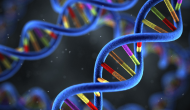Genetics