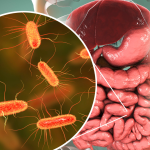 Gut microbiome