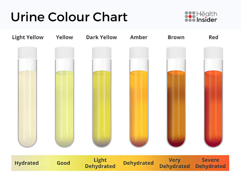 Urine hydration chart