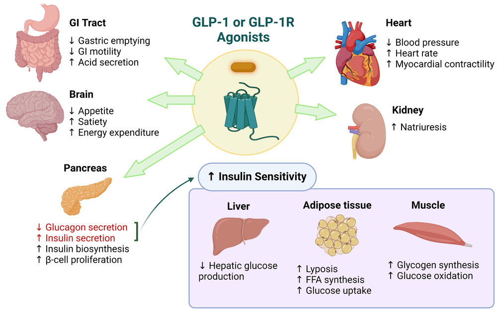 GLP-1 semaglutide