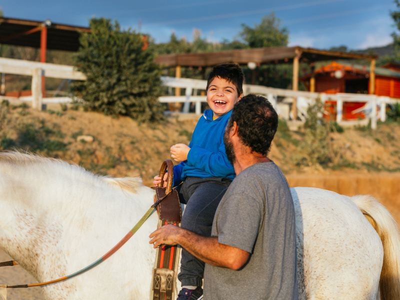 Equine Therapy