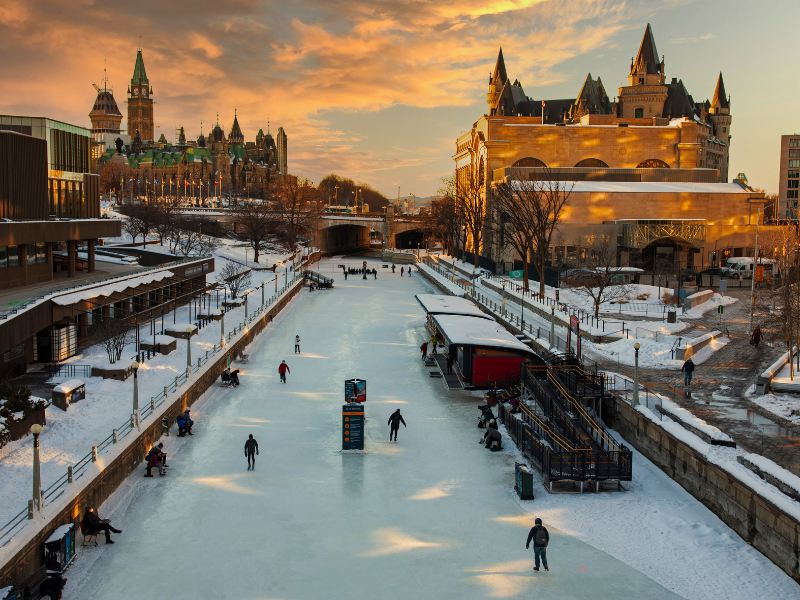 Green spaces in the cities we live in is essential. Learn more about why and how cities across Canada and the globe are prioritizing your health.