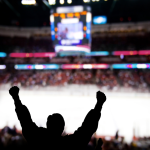 Hockey fan