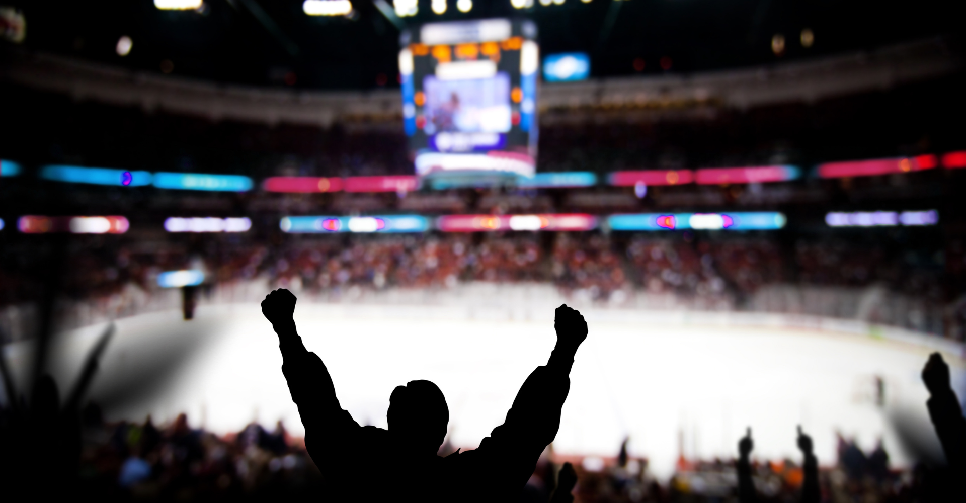 Hockey fan