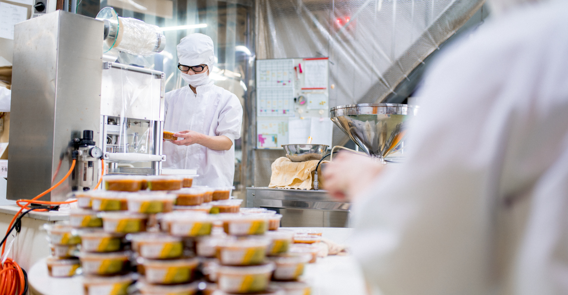Processed food factory
