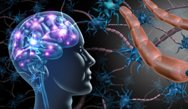 Vagus nerve