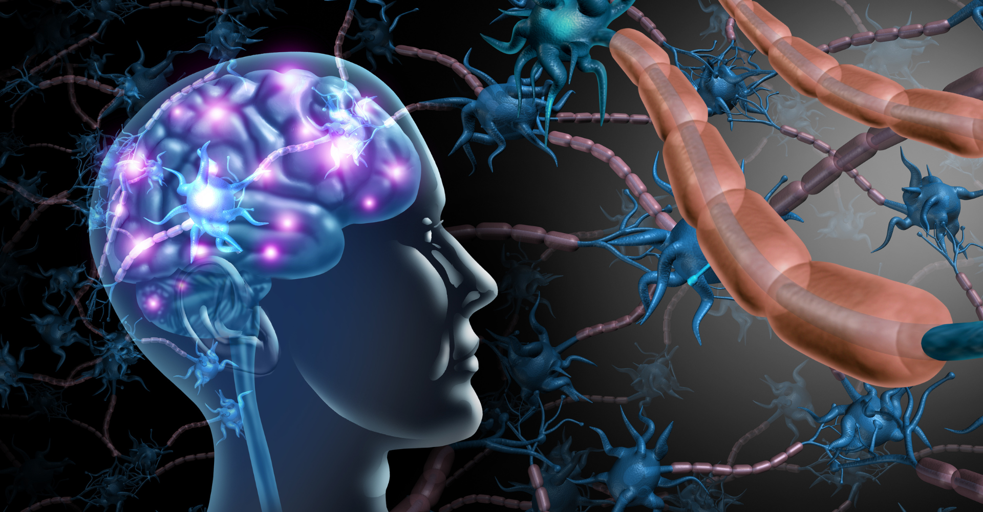 Vagus nerve