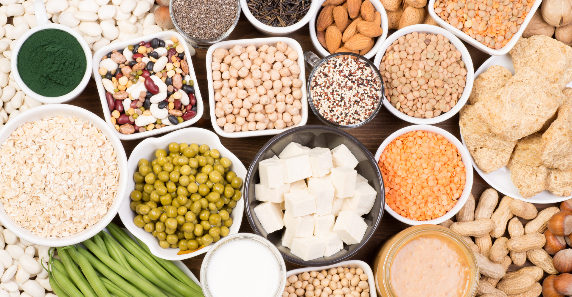 Plant protein
