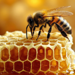 honey